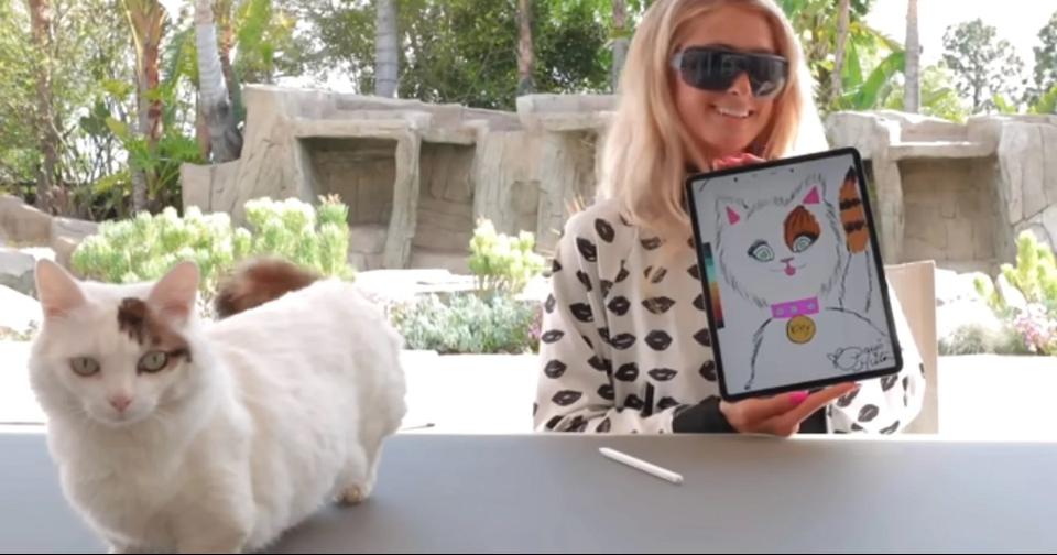 Criptomonedas: Paris Hilton subasta un gato por 40 ETH