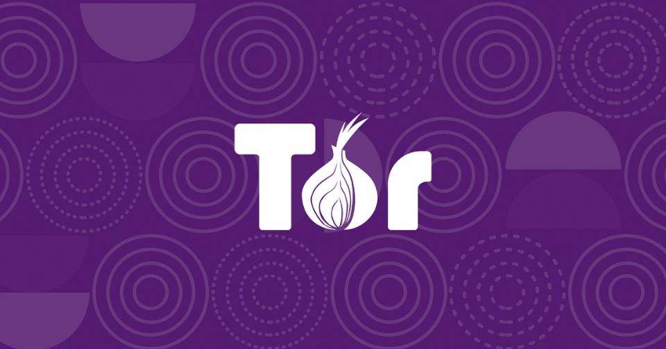 Criptomonedas: Proyecto Tor recibe un 23% más de donaciones en criptomonedas durante 2020